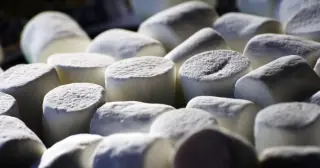 Large-scale marshmallow study shows background shapes early self-control's link to future success