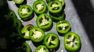 Summer Salmonella Surge: Eggs, Jalapeños, Backyard Poultry and Pets Tied to Outbreaks