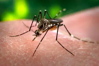 ND records first West Nile death of 2026 as cases rise
