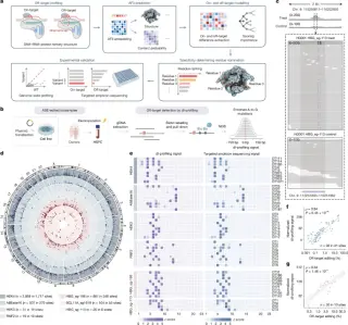 AI-driven contact modelling sharpens genome editing accuracy with AlphaFold3
