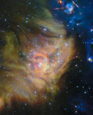 JWST’s Largest Panorama Yet Reveals Record-Light Brown Dwarfs in IC 348