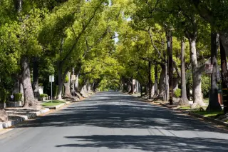 Boulevard Bio debuts with $65M to target B cells in IgA nephropathy