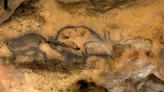 Charcoal Reveals Multi-Epoch Origins of Font-de-Gaume Cave Art
