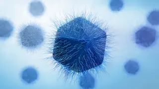 Furtivovirus: a giant virus that rethinks replication and a possible clue to the nucleus’s origin