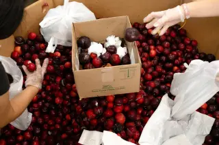 CBPP analysis finds 1.5 million kids cut from SNAP since last July