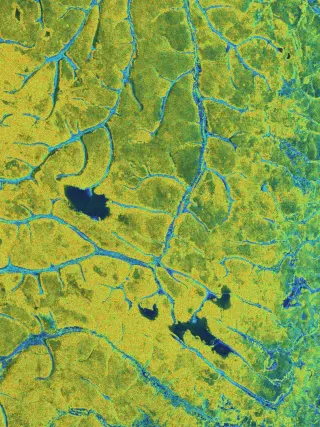 Biomass Celebrates One Year in Orbit with Striking Global Forest Insights