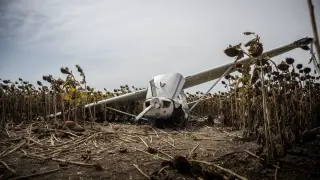 Hungarian plane theft prompts fighter jets, lands in sunflower field
