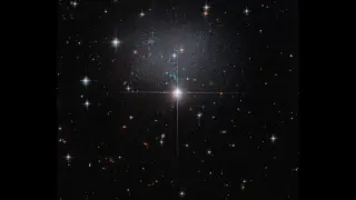 Hubble captures a glittering swarm in a tiny irregular galaxy