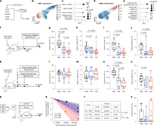 Human blood stem cells carry a lasting memory of inflammatory stress