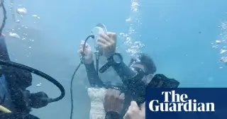 Soundscapes to Save the Sea: Underwater Speakers Boost Coral Recovery