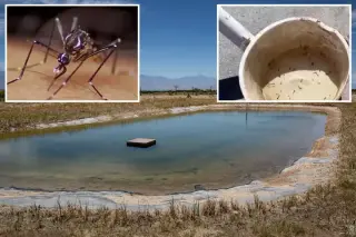 West Nile detected in Coachella Valley triggers health push