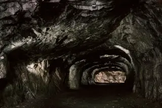 Sunless 5.5-Million-Year Lab: Movile Cave Hosts 48 Chemosynthetic Species