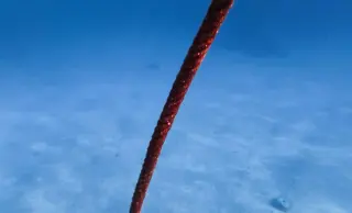 Ten-kilometer fiber-optic cable reveals 56,000 glacier calving events beneath Greenland’s fjords