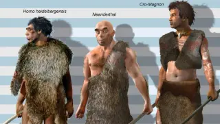 Late-Stage Size Jump in Homo Rewrites Hominin Growth Story