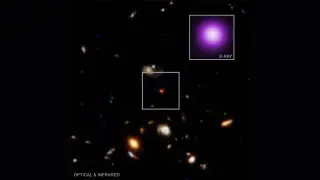 X-ray Dot Could Unmask Webb's Little Red Dots