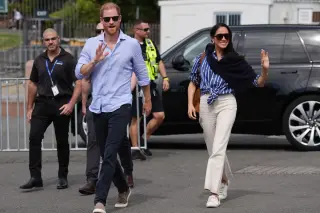 Prince Harry exits African Parks board amid abuse allegations
