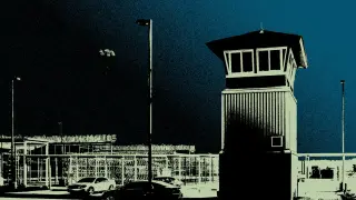 Tennessee halts executions after Christa Pike survives double lethal injection