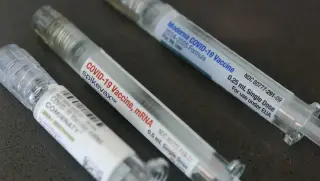 No Evidence COVID-19 Vaccines Increase Miscarriage Risk, Fact-Check Finds