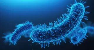 Upper East Side Legionnaires’ outbreak claims fifth death as cooling towers are remediated