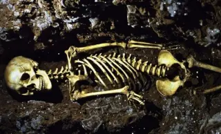 4,500-Year-Old Skeleton Bridges North Africa and Mesopotamia in a Single Genome