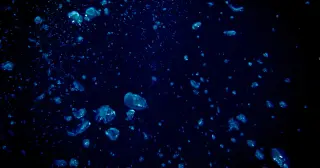 Only a sliver of Earth's deep ocean has ever been seen by humans, study finds