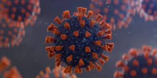 COVID Is Spreading Across the U.S.: Watch for These Symptoms and Take Precautions