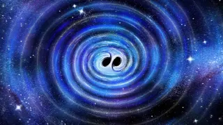 Gravitational-Wave Census Maps Diverse Black Hole Origins