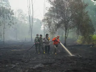 Record El Niño linked to 451,000 projected heat deaths by 2027