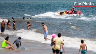 Foot bite at Jones Beach triggers shark-safety response