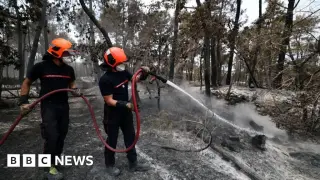 Volunteer firefighter probed for arson in Fontainebleau forest blaze near Paris