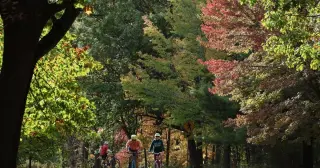 Madison Joins National Geographic's 2027 Global Travel List