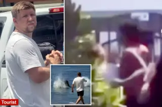 Maui Local Praised for Defending Endangered Monk Seal After Rock-Tossing Tourist