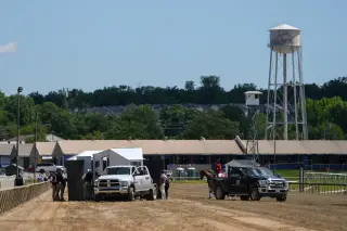 Laurel Park Tragedy: Horse Collapses After Finish as Preakness Weekend Begins