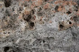 Tonga eruption creates 195-square-kilometer pumice raft carrying over 100 species to Australia