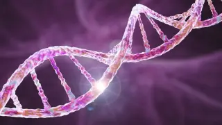 Genetic study links OCD and Tourette's to autism through brain circuits