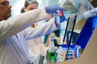 Two-Dose Intranasal Spray Reverses Brain Aging in Preclinical Study