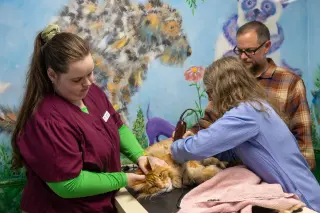 Private equity tightens grip on Asheville’s vet clinics