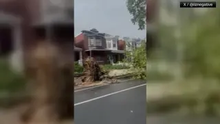 Philadelphia battered by powerful storm as trees fall and damage spreads