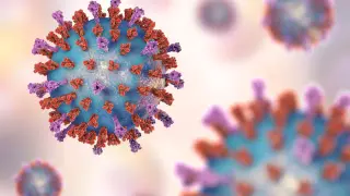 Rare Chandipura virus raises alarm in India: rapid brain infection in children, no vaccine
