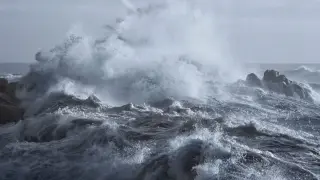 Atlantic Conveyor Could Slow by Half by 2100, New Study Finds