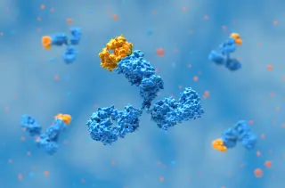 Widespread image manipulation flagged in Thermo Fisher antibody catalog