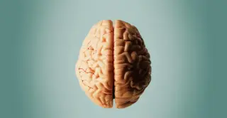 US Surgeons Begin First Robotic Trials for Controversial Alzheimer's Lymphatic Procedure
