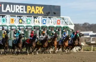 Golden Tempo Considers Preakness Bid as Laurel Hosts Triple Crown’s Second Leg
