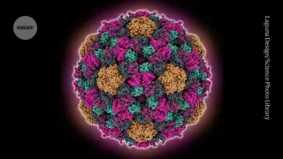 Rewriting a virus genome exposes AI’s blind spots in biology