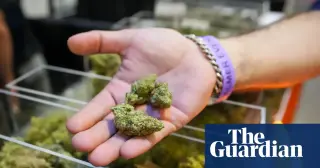 Trump Admin Reclassifies Marijuana to Schedule III to Boost Research