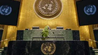 Israel Launches 'UN's Lie Industry' Campaign to Counter General Assembly Criticism