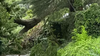Baltimore storm outages linger as BGE says most power will return Thursday