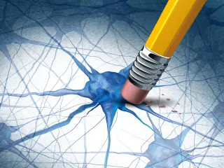 Common amino acid arginine slows Alzheimer’s pathology in animals
