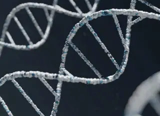 Oxford pond protist reveals genetic code where stop signals encode two distinct amino acids