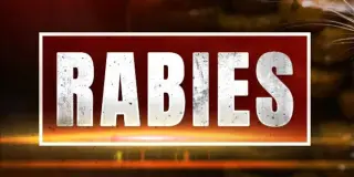Rabies case in Montgomery raccoon triggers health advisory